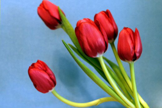 651947 (a): :2700x1800